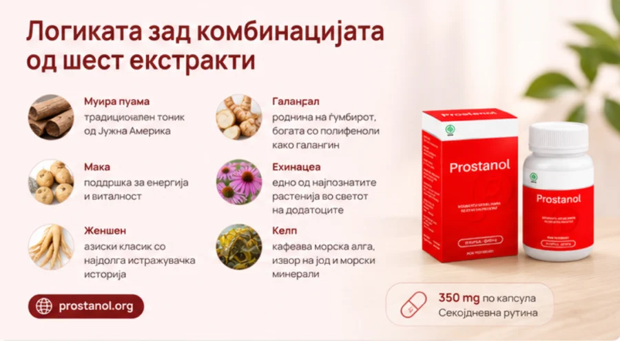 Biljke iz sastava {{OFFER_NAME}}: korijeni, rizomi i morska alga