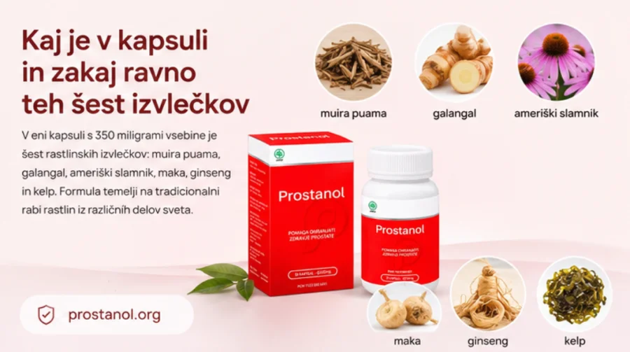 Biljke iz sastava {{OFFER_NAME}}: korijeni, rizomi i morska alga