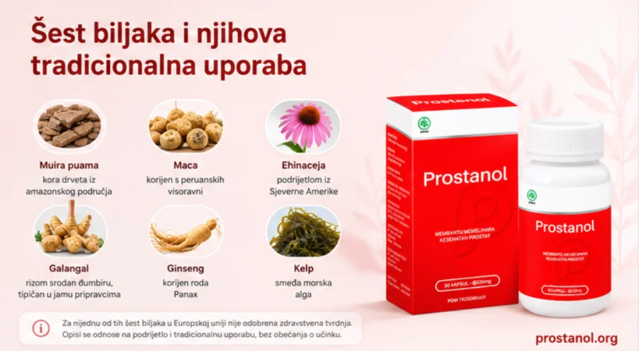 Biljke iz sastava {{OFFER_NAME}}: korijeni, rizomi i morska alga