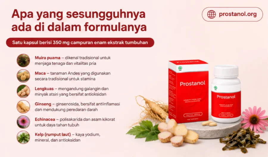 Biljke iz sastava {{OFFER_NAME}}: korijeni, rizomi i morska alga
