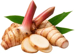 Ekstrakt galangala (Alpinia galanga) u sastavu {{OFFER_NAME}}