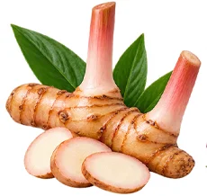 Ekstrakt galangala (Alpinia galanga) u sastavu {{OFFER_NAME}}