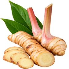 Ekstrakt galangala (Alpinia galanga) u sastavu {{OFFER_NAME}}