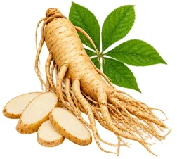 Ekstrakt ginsenga (Panax) u sastavu {{OFFER_NAME}}