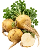 Ekstrakt mace (Lepidium meyenii) u sastavu {{OFFER_NAME}}