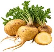 Ekstrakt mace (Lepidium meyenii) u sastavu {{OFFER_NAME}}