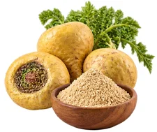 Ekstrakt mace (Lepidium meyenii) u sastavu {{OFFER_NAME}}