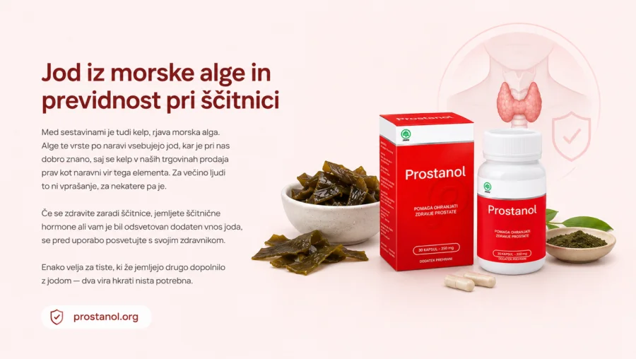 Prostanol — kelp kot naravni vir joda in previdnost pri ščitnici